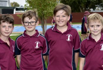St Francis Advertised Teaching Positions